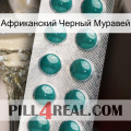 Африканский Черный Муравей dapoxetine1